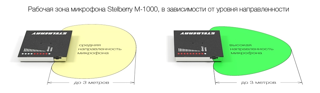 Stelberry_M1000_direct.jpg